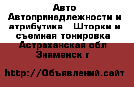 Авто Автопринадлежности и атрибутика - Шторки и съемная тонировка. Астраханская обл.,Знаменск г.